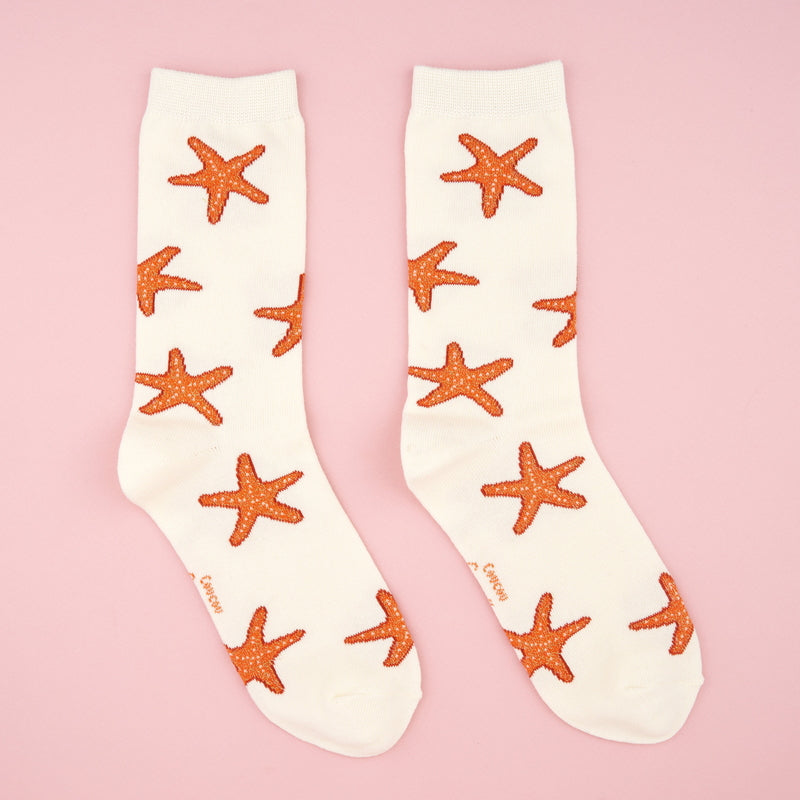 Starfish Socks with background