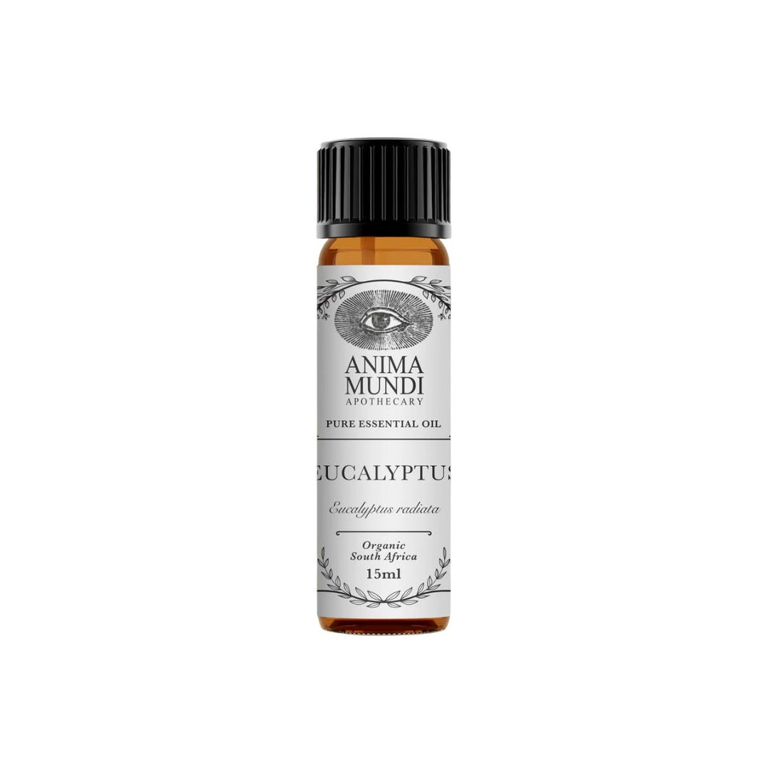 Eucalyptus Essential Oil | Organic