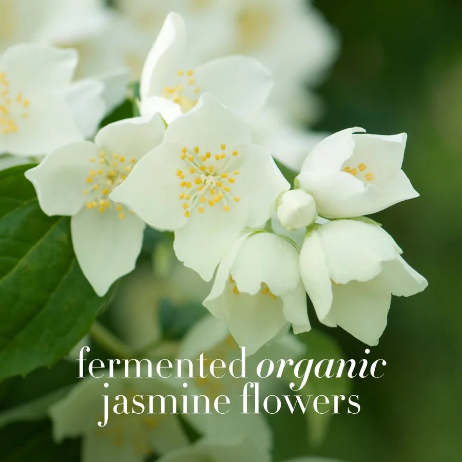 Antipodes Jasmine Flower Menopause Facial Cream - Jasmin