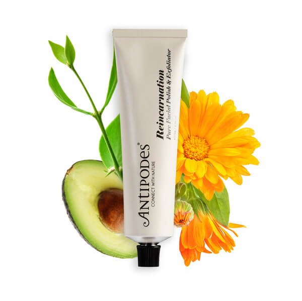 Antipodes Reincarnation Pure Facial Exfoliator - Ingredients