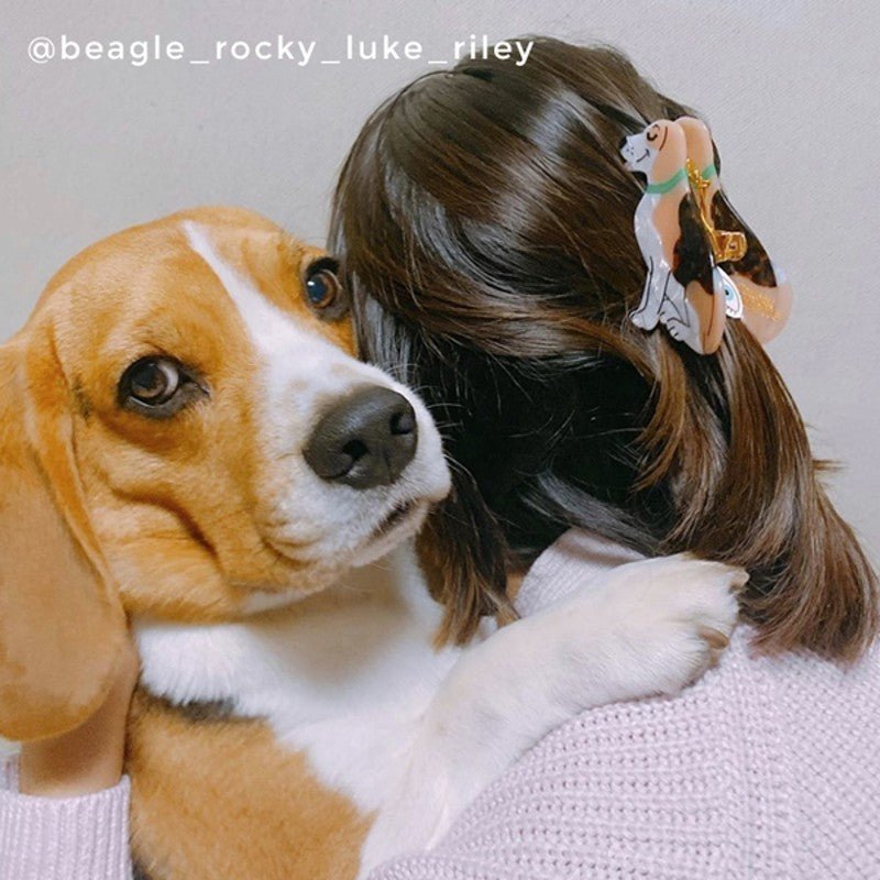 Beagle Hair Claw Life Style