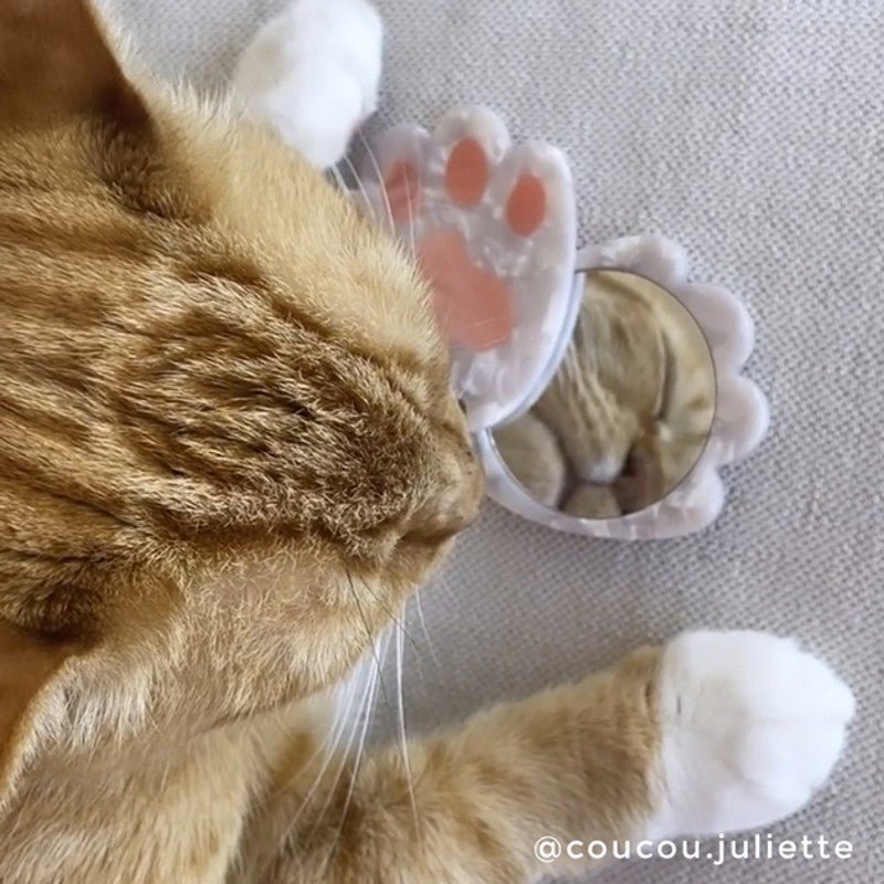 Coucou Suzette Cat Paw Mirror - Mood mit Katze