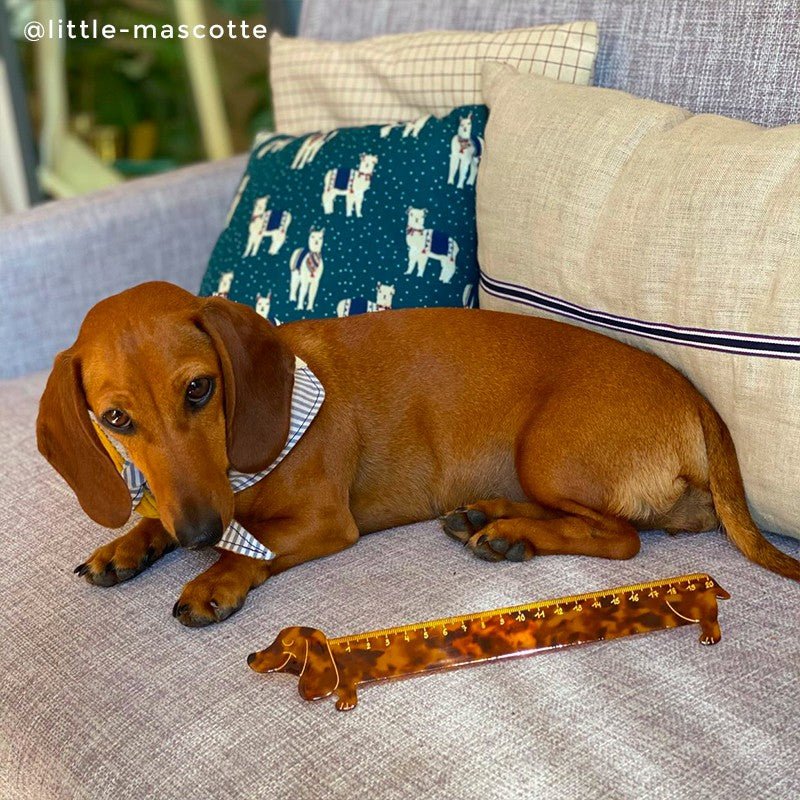 Dachshund Ruler mit Dachshund