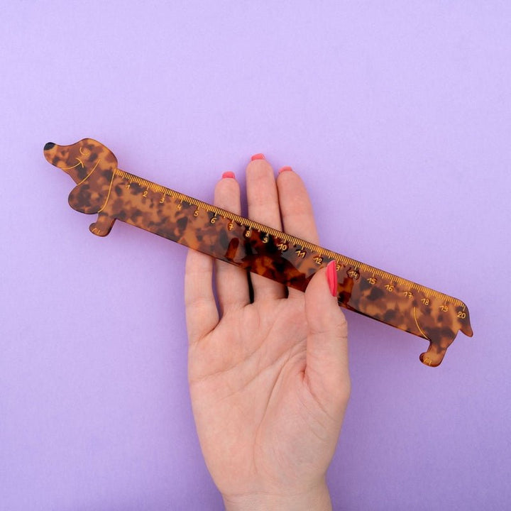 Dachshund Ruler in Hand