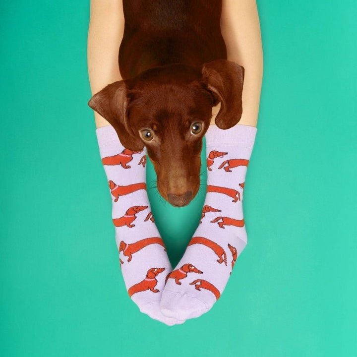 Coucou Suzette Dachshund Socks - Model 2 mit Dackel