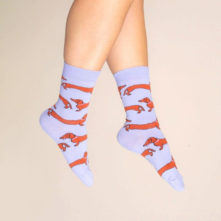 Coucou Suzette Dachshund Socks - Model 1