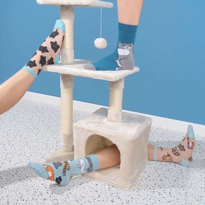 Coucou Suzette Meow Socks - Mood