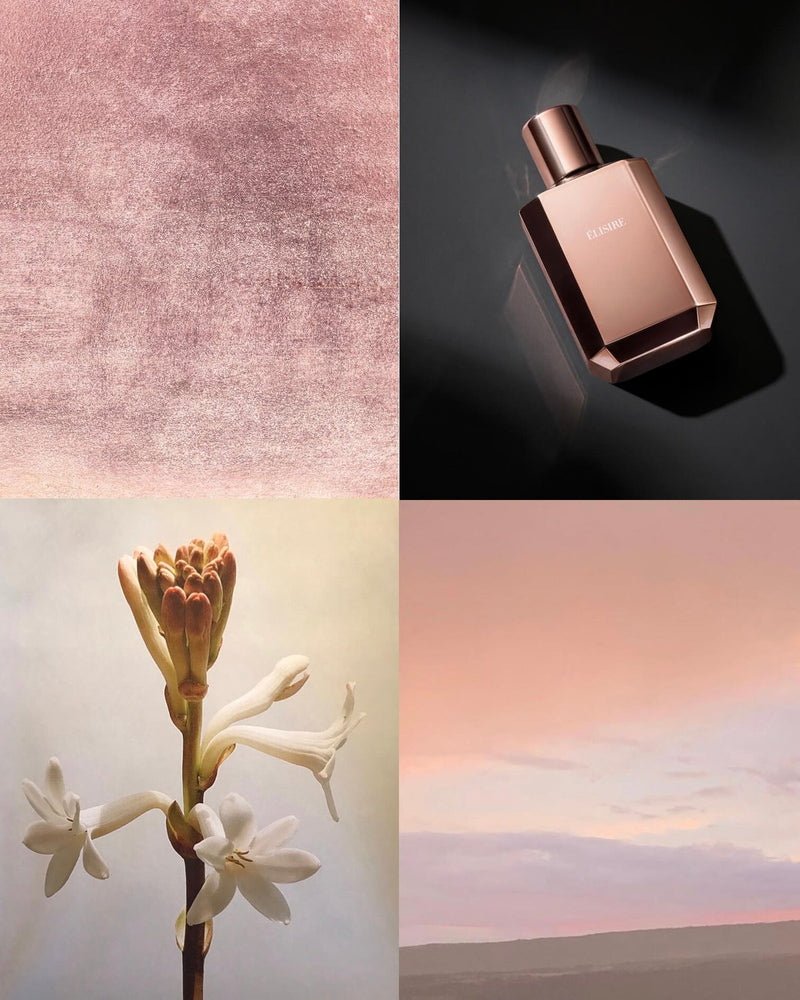 Élisire Érose Moodboard