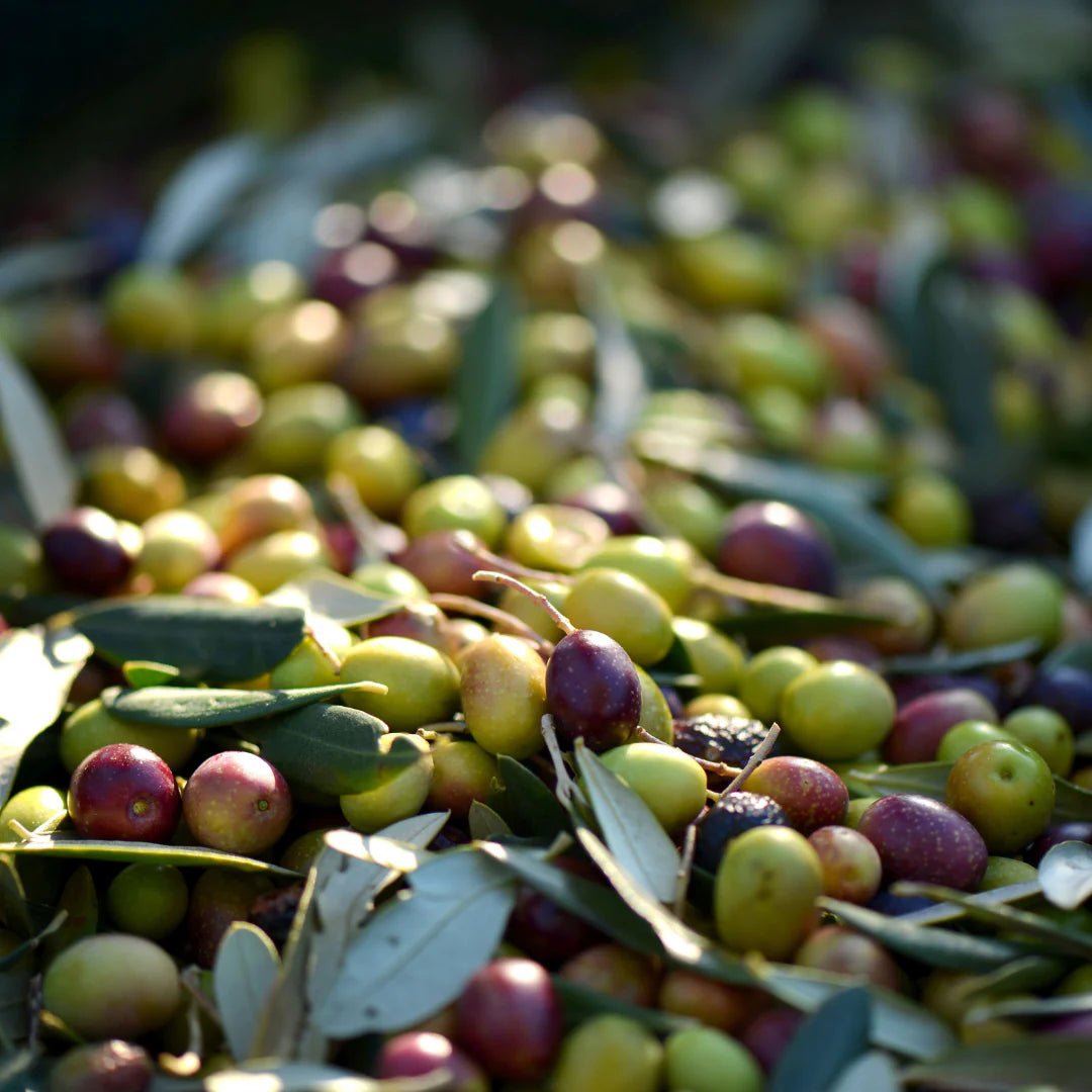 Oden French Hair Oil - Olives