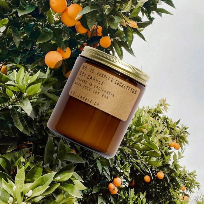 P.F. Candle Co. No. 16 Neroli & Eucalyptus - Mood