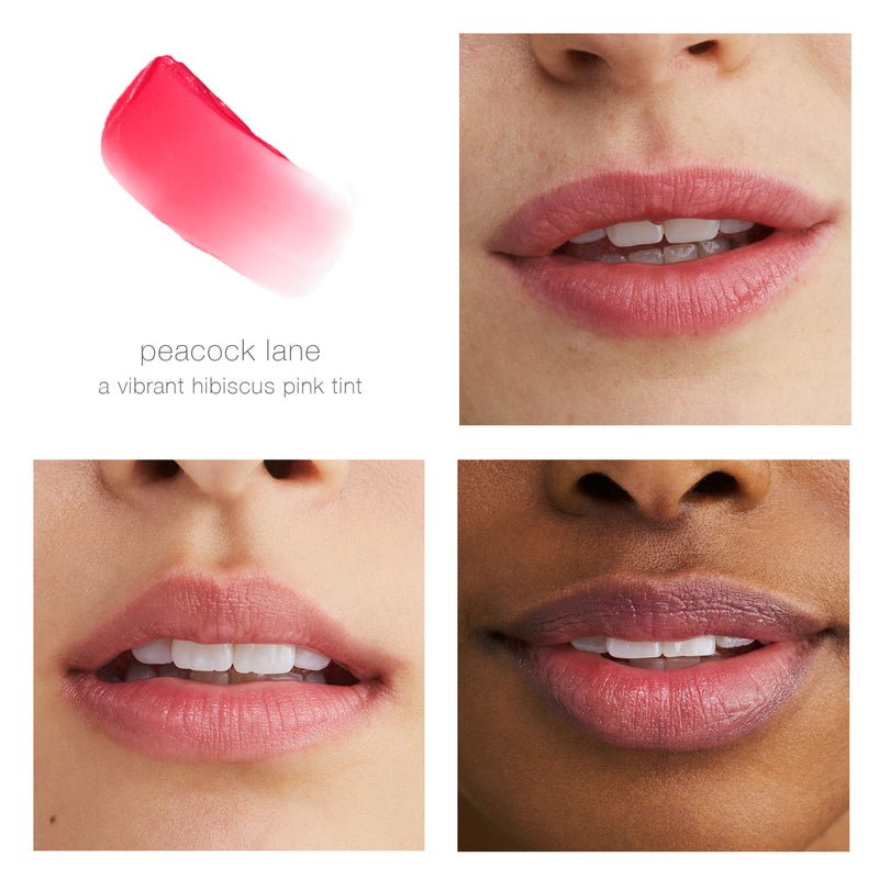 Tinted Daily Lip Balm Peacock Lane Lips