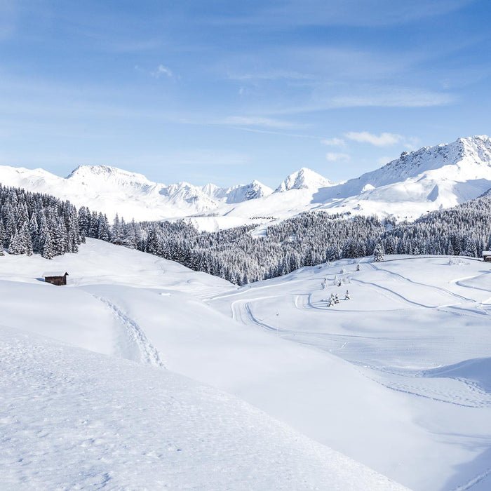 Seifenmacher Arosa Landschaft im Schnee