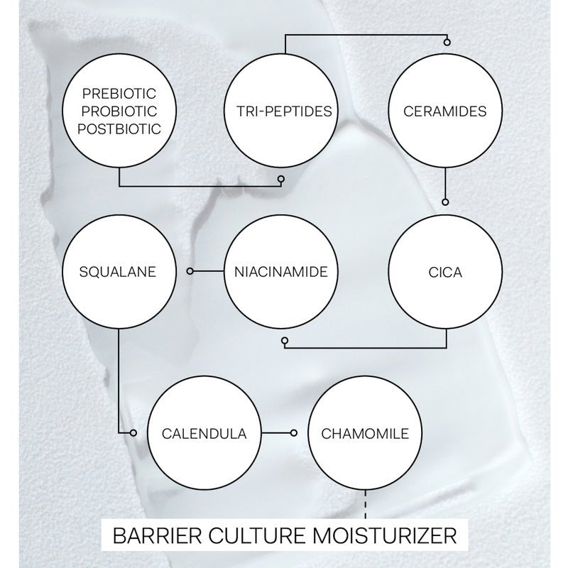 The Nue Co. Barrier Culture Moisturizer - how it works